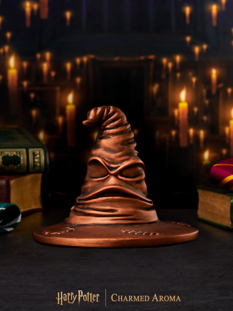 Harry Potter™ Sorting Hat Accessory